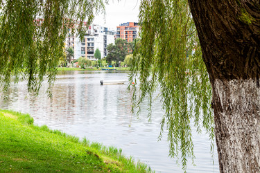 Similar image 21687539