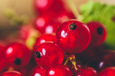 Similar image 21689810