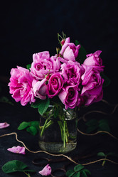 Similar image 21689831