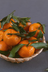 Similar image 21688007