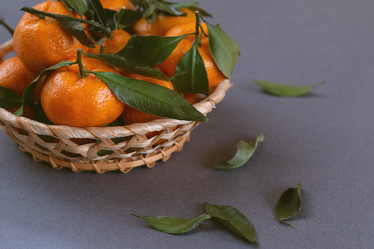 Similar image 21688008