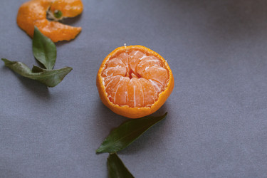 Similar image 21688010