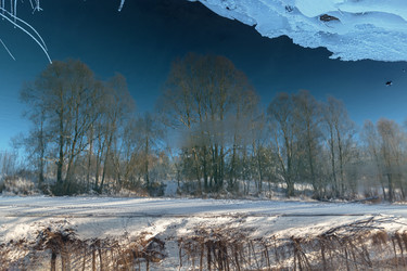 Similar image 21687167