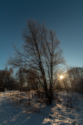 Similar image 21688720