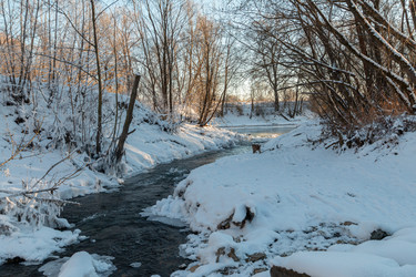 Similar image 21688721