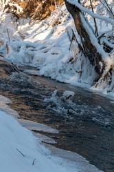 Similar image 21688724