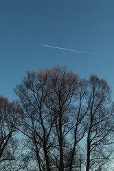 Similar image 21688370