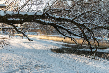 Similar image 21688726