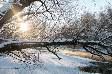 Similar image 21688727