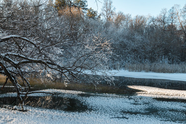 Similar image 21688729