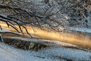 Similar image 21688730