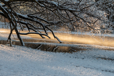 Similar image 21688372