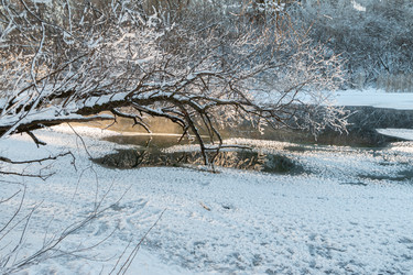 Similar image 21687173