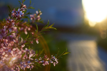 Similar image 21688374