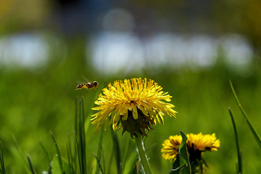 Similar image 21688375