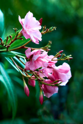 Similar image 21688377