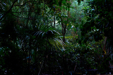 Similar image 21688378