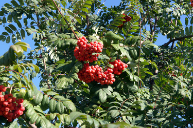 Similar image 21692906