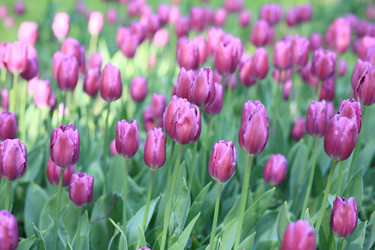 Similar image 21692922