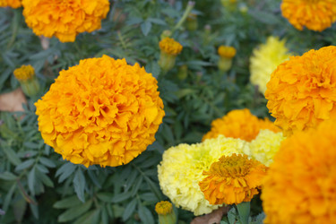 Similar image 21692940