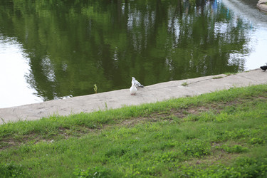 Similar image 21692941