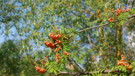 Similar image 21692945