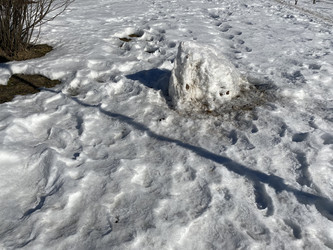 Similar image 21692946