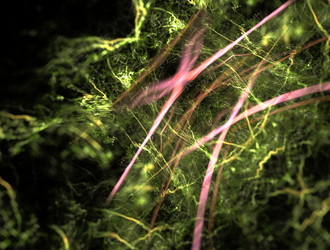 Similar image 21694902