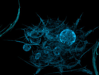 Similar image 21695170