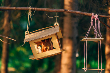 Similar image 21689848