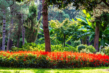 Similar image 21689555