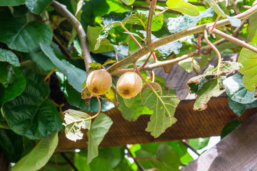 Similar image 21689560