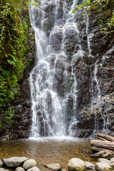 Similar image 21689569