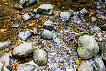 Similar image 21689570