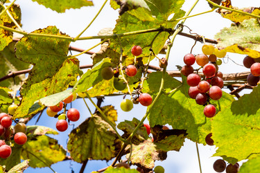 Similar image 21689576