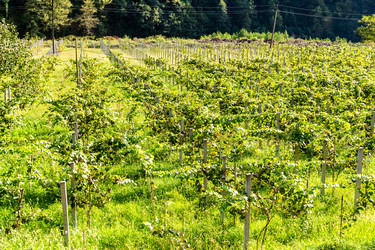 Similar image 21689581