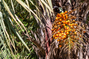 Similar image 21689588