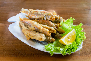 Similar image 21689598