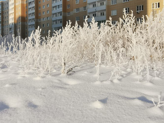 Similar image 21687204