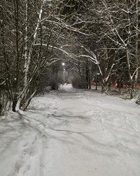 Similar image 21687205