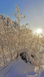 Similar image 21687206