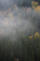 Similar image 21687228