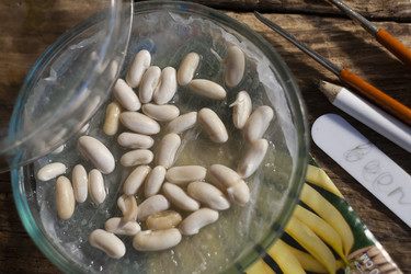 Similar image 21690465