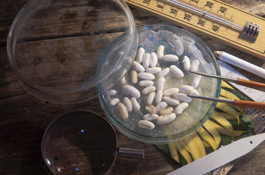 Similar image 21690466