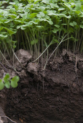 Similar image 21690468