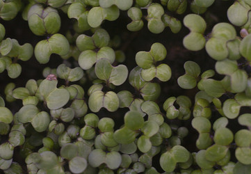 Similar image 21690471