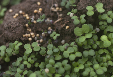 Similar image 21690472