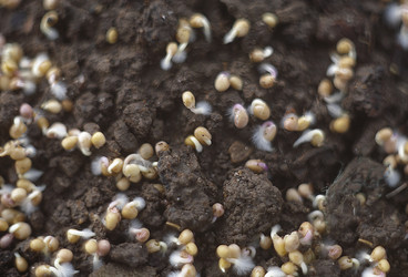 Similar image 21690473