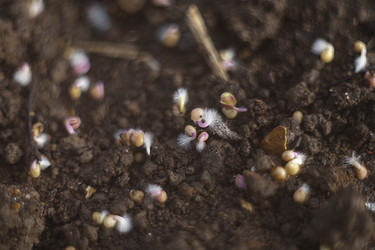 Similar image 21690475