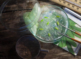 Similar image 21690476